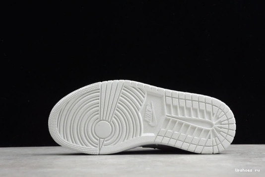 Low 1 Air CV3043-100 Jordan CV3043-100 “Paris” 0701